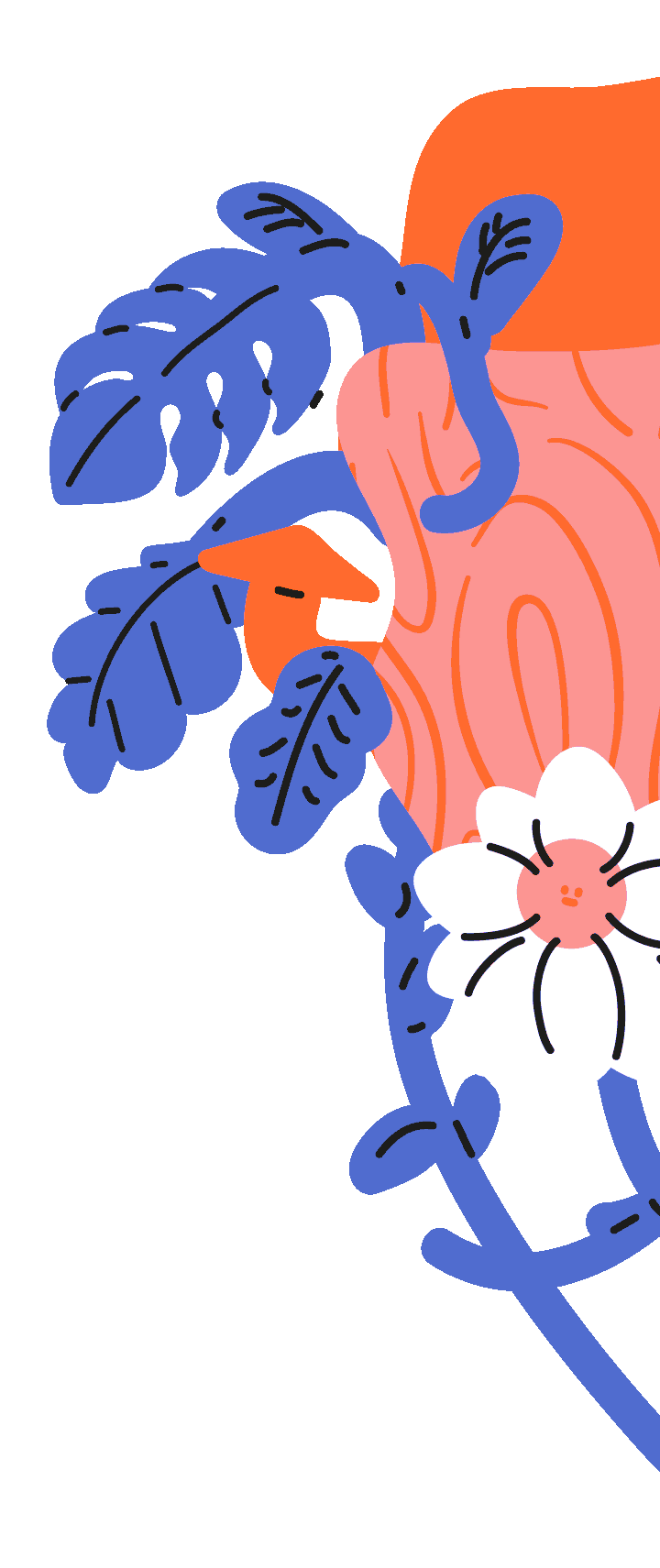 Daisy