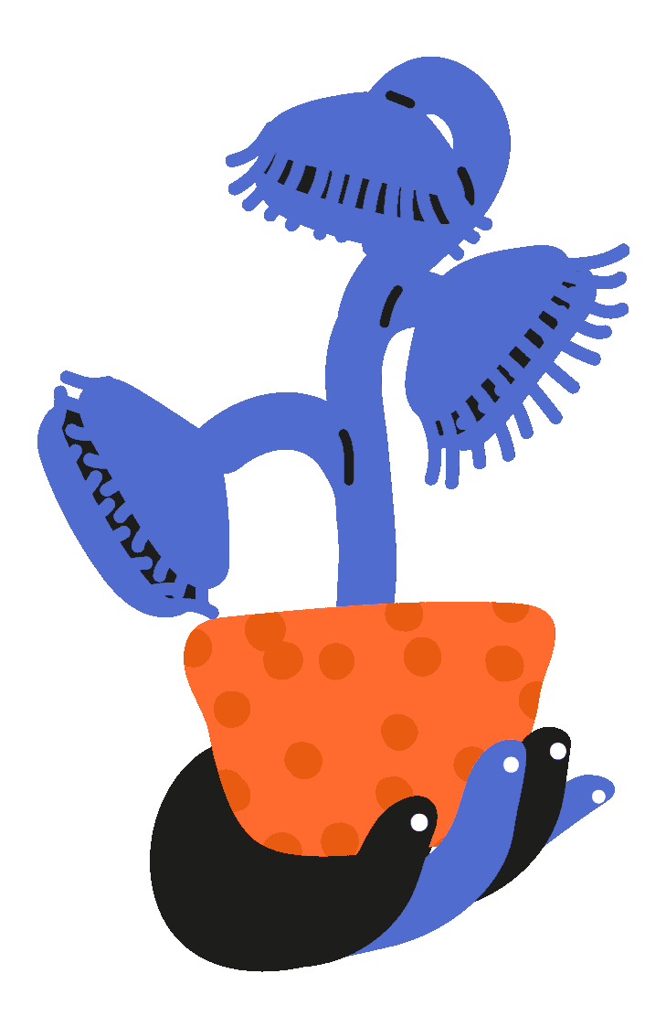 Plant