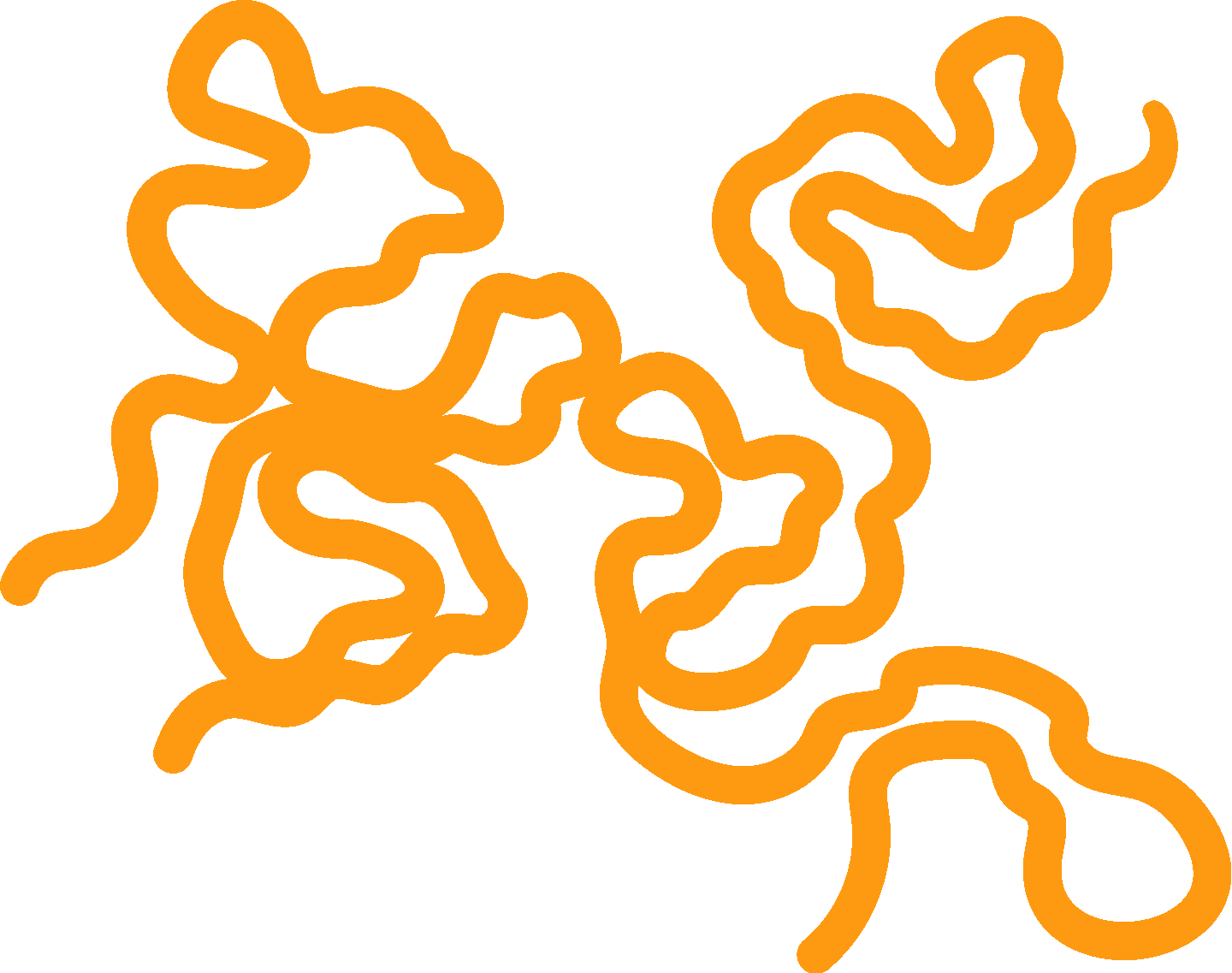 Squiggle 01